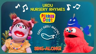 Geeli Geeli Machli  Nursery Rhymes  Pakkay Dost [upl. by Neirod]