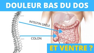 Douleur bas du dos et ventre  quel lien existetil [upl. by Rausch]