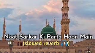 Naat Sarkar Ki Parta Hoon Main slowed reverb 🎧🥰❤️ Lofi Naat Milad Raza Qadri New Naat lofi [upl. by Yroger]