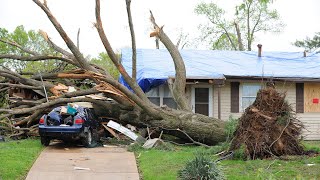 Dangerous Biggest Tree Cutting Fails With Chainsaw Working  Heavy Tree Falling On Car Pathetic [upl. by Aicela]