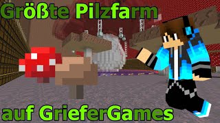 🍄Die GRÖßTE Pilzfarm auf GrieferGames [upl. by Laney747]