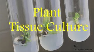 Plant Tissue Culture [upl. by Nolyk]