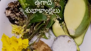 Ugadi vlog 2020👎 [upl. by Schram599]