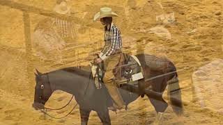 Bella Hadid Competes at the National Horse Cutting Competition Texas [upl. by Assylem610]