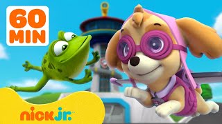 PAW Patrol Lookout Tower Animal Rescues w Skye Chase amp Rocky  1 Hour Compilation  Nick Jr [upl. by Mosora]