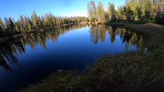 Journey to Sasquatch Pond  How I Handle Bear Encounters  KLX300R Ep73 [upl. by Notlef]