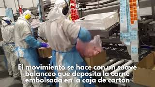 PASO a PASO  VOLTEADOR de CAJAS de carne en una SALA de DESHUESE [upl. by Ttennaj]