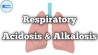 Respiratory Acidosis amp Alkalosis  Respiratory Physiology [upl. by Ydnew]