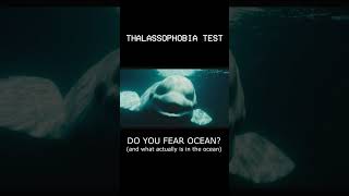 Extreme thalassophobia test shorts megalophobia thalassophobia [upl. by Faruq]