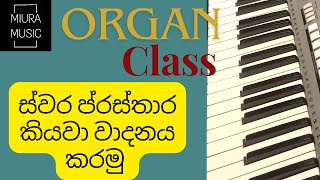 Organ Class  Lesson 2 Easy Steps to reading Notations [upl. by Draillih]