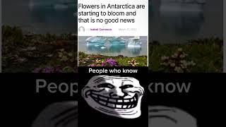 Flowers blooming in Antarctica 😥 shorts [upl. by Weathers]