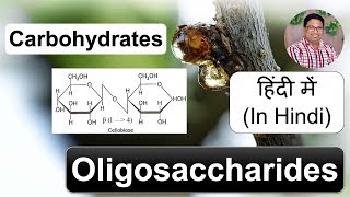 कार्बोहायड्रेट  ओलिगोसैकेराइड  Biomolecules  Carbohydrates Oligosaccharides In Hindi [upl. by Zetnas27]