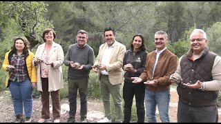 Reintroducción de tortugas en la finca pública de Galatzó de Calvià [upl. by Shaver]