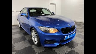 2014 BMW 2 Series  Walk Around Video [upl. by Villiers]