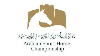 ARABIAN SPORT HORSE CHAMPIONSHIP 2019 [upl. by Puglia]