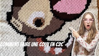 comment faire une couverture en C2C avec un motif au crochet [upl. by Gussi]