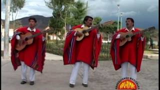 LOS BOHEMIOS DEL CUSCO Maras plazapi Huayno [upl. by Fogel]