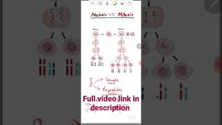 Meiosis vs Mitosis  Class 11 biology [upl. by Gnel]