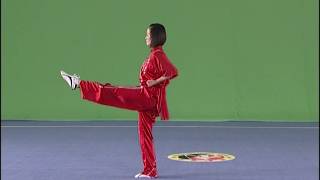 Wushu footwork and wushu leg techniques [upl. by Eidroj]