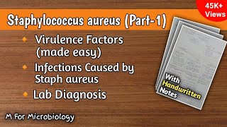 Staphylococcus aureus part1  Virulence factors  Infections  Clinical features  Lab diagnosis [upl. by Bartle]