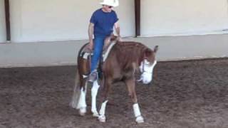 Trash TalkingunGunner Derby Reining Gelding For Sale [upl. by Nickles876]