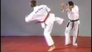 Hapkido side kick defense [upl. by Ydarg]