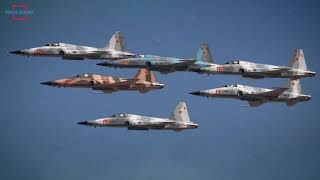 F5N Aggressors This is the Reason the US Maintains the F5 Tiger Family [upl. by Laden]