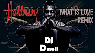 Haddaway  What Is Love  DJ Dmoll Roxbury Remix [upl. by Enneire]