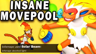 SOLAR BEAM INFERNAPE IS THE NEW META [upl. by Odom]