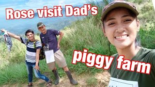 Visiting My Dads Piggy Farm  Bonding With Him [upl. by Ttenyl]