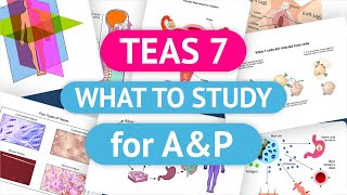 TEAS Test Prep for the TEAS 7 Science Section  Everything to Know for Anatomy and Physiology [upl. by Noeled208]