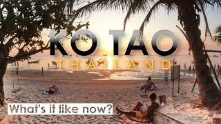 Ko Tao Thailand 🇹🇭  Whats it Like Now Watch Before You Go  Thailand Travel [upl. by Sirromad]