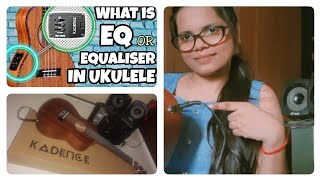 How to use kadence ukulele equalizer  Use kadence ukulele equalizer without amplifier  Unboxing [upl. by Eadas584]