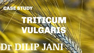 TRITICUM VULGARIS  Dr DILIP JANI hshhomeopathy [upl. by Nas]