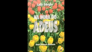 Na Hora Do Adeus cap 23 Autora Irene Pacheco Machado  Espírito Luiz Sérgio [upl. by Curt185]