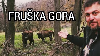 Oaza ep64  Fruška gora [upl. by Lauro]