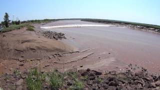 Le Mascaret de Moncton New Brunswick Tidal Bore [upl. by Ettennat]