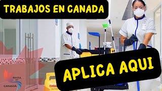 Cuales son los trabajos mas demandados en Canada [upl. by Llyrehc225]