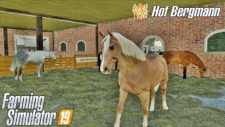 Stajnia kupno koni i Horse Helper  Hof Bergmann FS19 ☆ Farming Simulator 19 ☆ 7 ㋡ Anton [upl. by Eralc94]