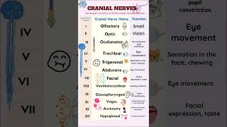 Cranial Nerves nursing cranialnerves [upl. by Egiap568]