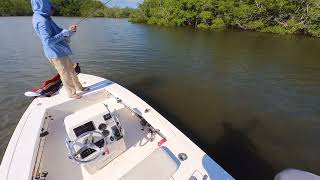 Early December fly fishing in biscayne bay [upl. by Nodaj247]