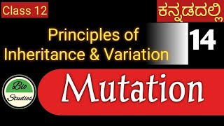 Class 12  Genetics ಕನ್ನಡದಲ್ಲಿ  14 [upl. by Poucher809]