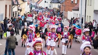 Karneval 2017  WCV Festumzug in Gröbzig [upl. by Pudens]