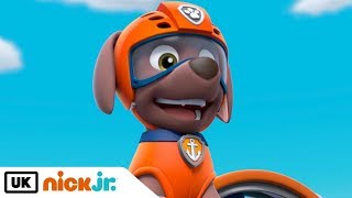 Paw Patrol  Meet Zuma  Nick Jr UK [upl. by Rednaxela388]