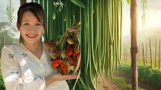 Growing Yardlong Beans From Seed to Harvest  How to Cook a Delicious Dish with Yardlong Beans Plinh [upl. by Nole]