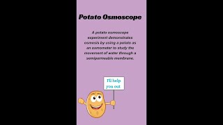 Can a potato teach us about osmosis [upl. by Nyrrek]