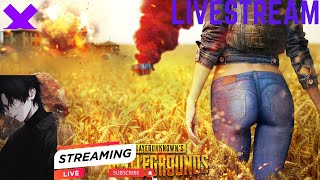 PUBG AYAM AYAM 124 [upl. by Donna]