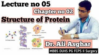 Structure of Protein HindiUrdu [upl. by Allenrad]