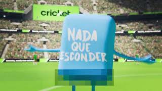 Cricket Wireless – Streaker [upl. by Kenrick]