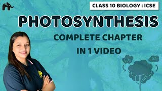 Photosynthesis  Chapter 6 Class 10 ICSE Biology  Selina [upl. by Hillari]